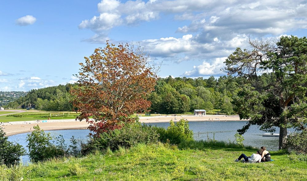 GJEMMESTED: Selv på de mest trafikkerte dagene på sommeren kan man finne seg et usjenert sted. (Foto: Visit Oslo)